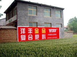 宿迁如何让墙体广告展现最大化效果